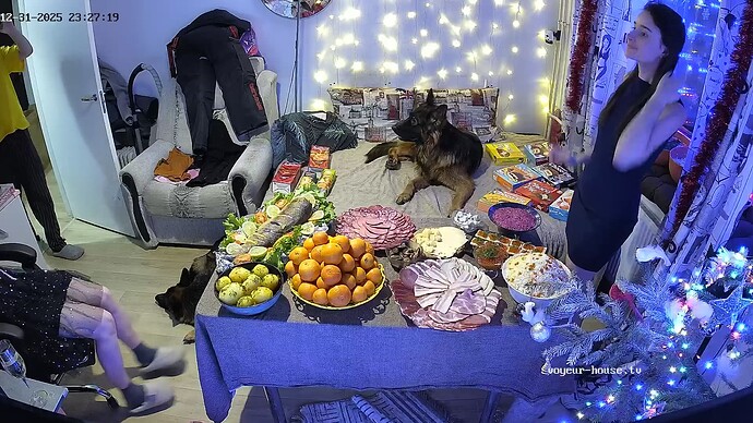 realm111-cam14-1767212878