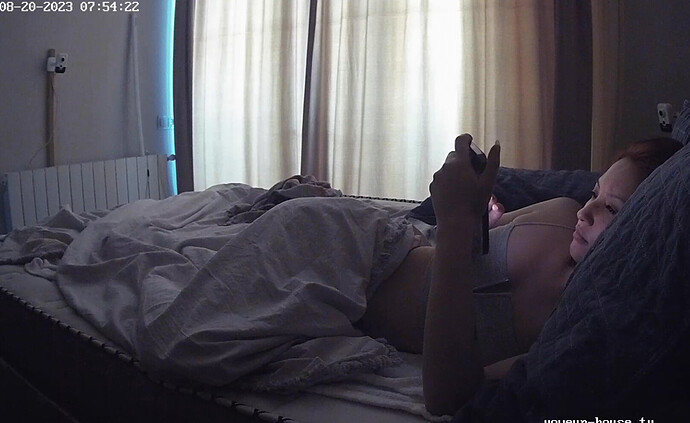 Screenshot 2023-08-19 at 23-55-06 Nikki apartment with reallifecam cameras at Voyeur House TV