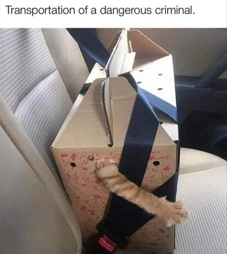 main-qimg-08fd5d17ed655eff26e1863a566d77c9