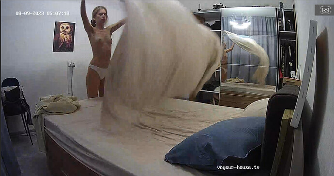 Screenshot 2023-08-08 at 22-35-08 Living room camera at Alida Gerda reallifecam apartment at Voyeur House TV (cam14)