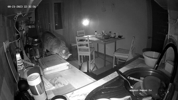 realm37-cam11-1692646724