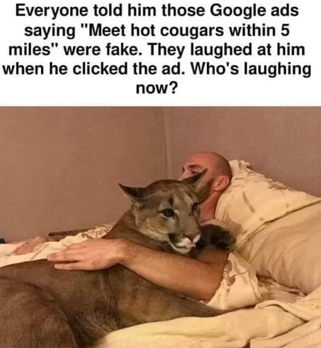 Cougars