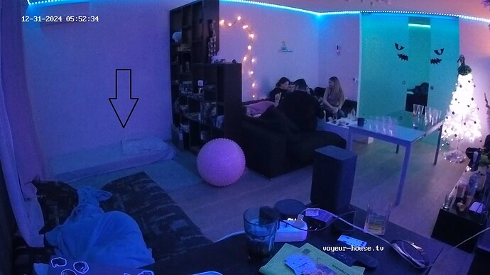 realm55-cam13-1735602793