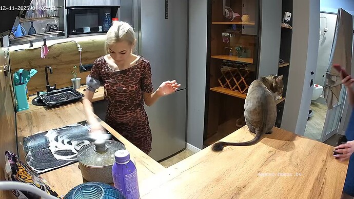 realm94-cam12-1765404169