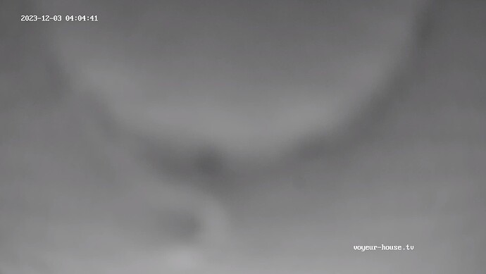 realm44-cam110-1701569115