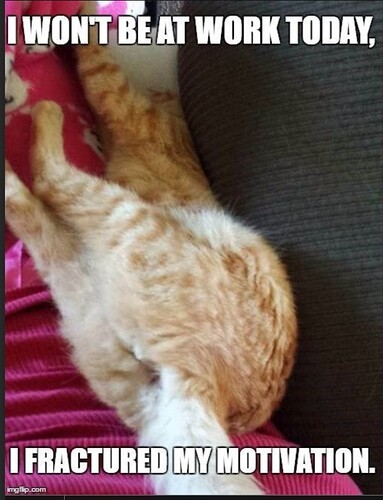 main-qimg-f13629918b25da069dc418826e9467e7