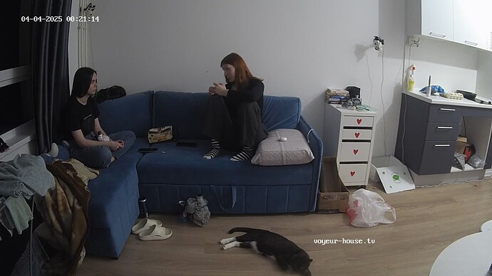 videoframe_906474