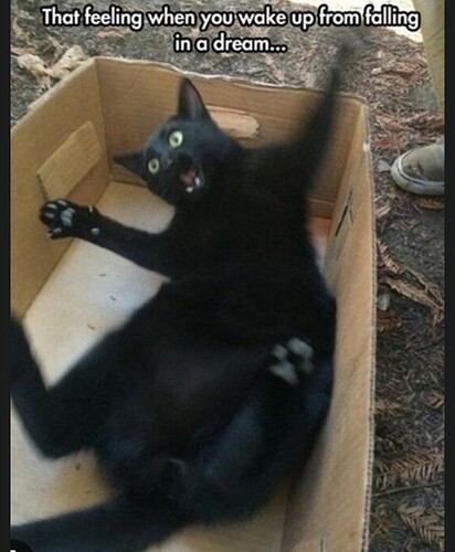 main-qimg-caf6444963c100cff3032f70a1b65eaa