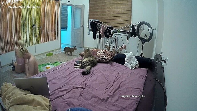 realm93-cam15-1717619233