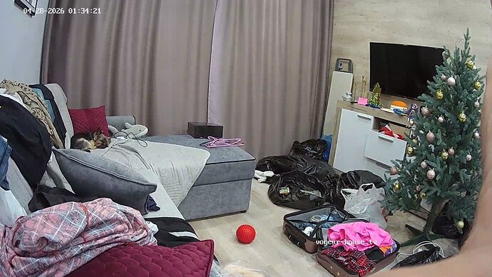 IMG_20260428_031646_906