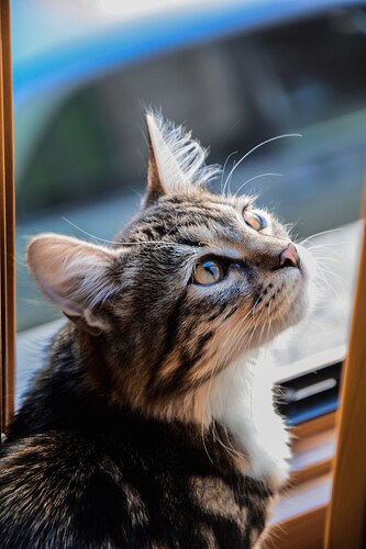 IMG_20221202_211525_819