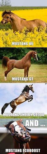 FB_IMG_1687263428395