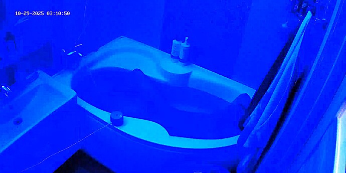 realm62-cam110-1761696703