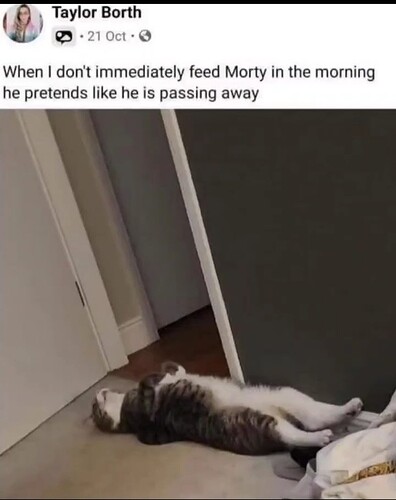 main-qimg-dc88f96b2e7a6cbae92a60c996d739bf