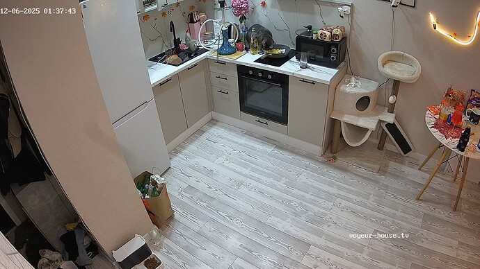 realm56-cam11-1764974280