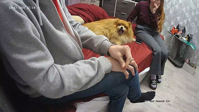 realm18-cam16-1763477867