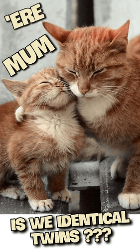 main-qimg-f07a5d6e03b0c976e2a1adfdd4cae710