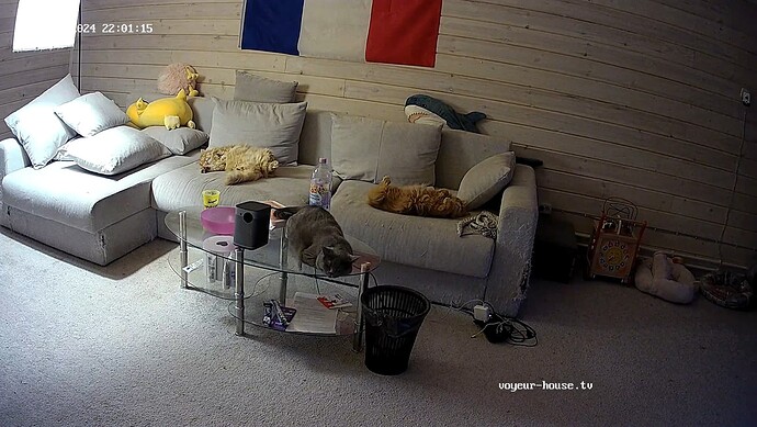 realm83-cam13-1717354914