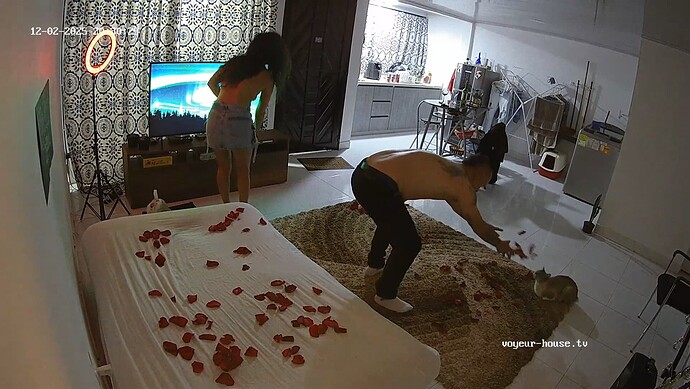 realm121-cam13-1764727090