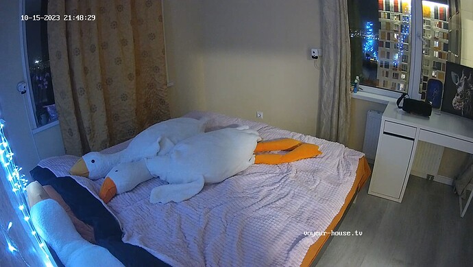 realm92-cam16-1697395741