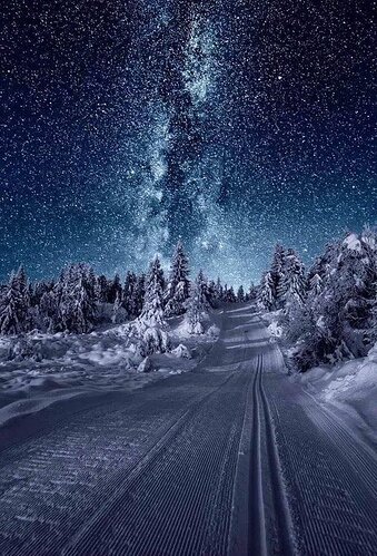 A night in Norway. I think Norway stars in the Milky Way galaxy