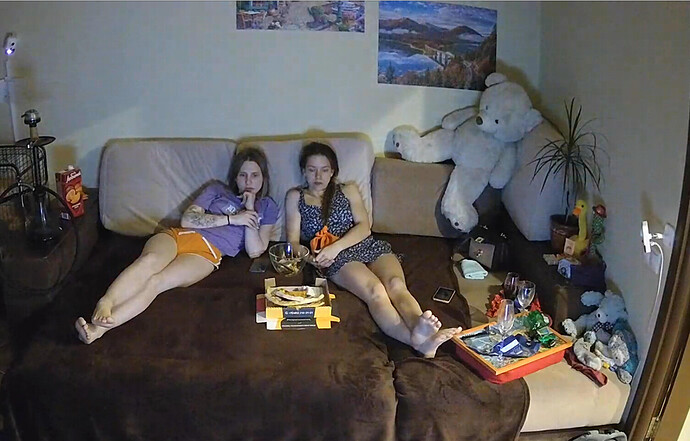 Screenshot 2023-06-11 at 00-13-48 Guest bedroom camera at Sophia Elon Claudia reallifecam apartment at Voyeur House TV (cam110)