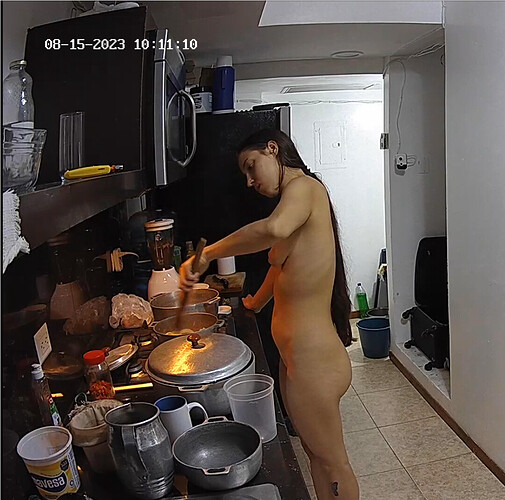 Screenshot 2023-08-15 at 09-48-18 Kitchen camera at Libra & Papi reallifecam apartment at Voyeur House TV (cam11)