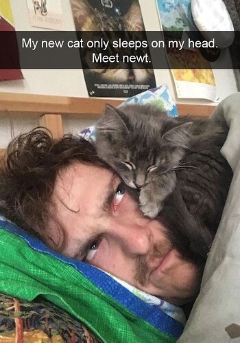 main-qimg-73f8d8e2e2429bb8df1e2c2abd036cfe