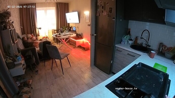 realm18-cam11-1771734512