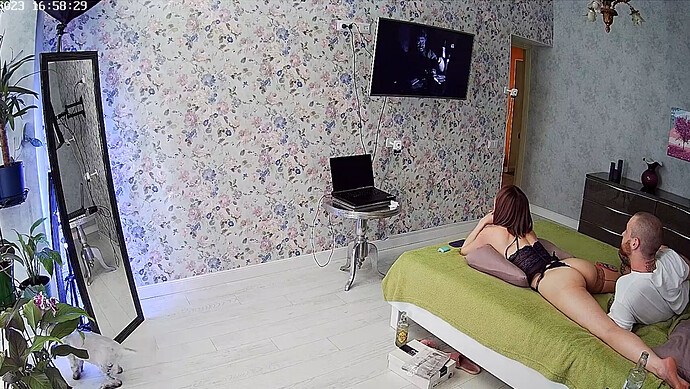 Screenshot 2023-06-24 at 10-03-04 Guest bedroom camera at Sophia Elon Claudia reallifecam apartment at Voyeur House TV (cam110)
