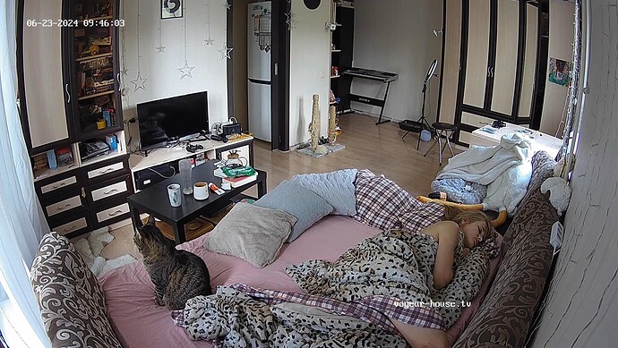 realm7-cam15-1719125207