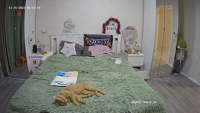 realm67-cam17-1700928286