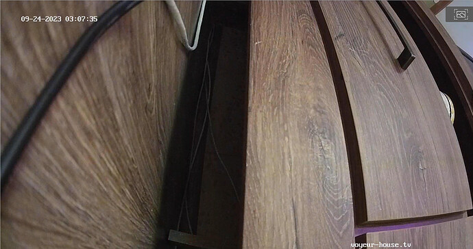 Screenshot 2023-09-23 at 20-08-02 Living room camera at Sophia Elon Claudia reallifecam apartment at Voyeur House TV (cam15)