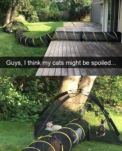 main-qimg-5eb5cc446bc0b5b826822acbd1a608b9