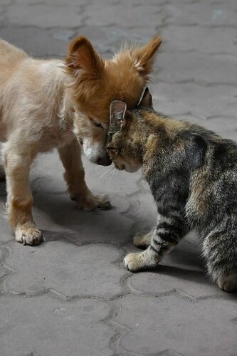 main-qimg-3bed2aef6efa01f67d01fa53e63eb5bb