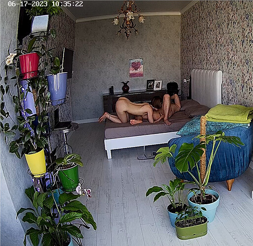 Screenshot 2023-06-17 at 03-40-03 Guest bedroom camera at Sophia Elon Claudia reallifecam apartment at Voyeur House TV (cam110)