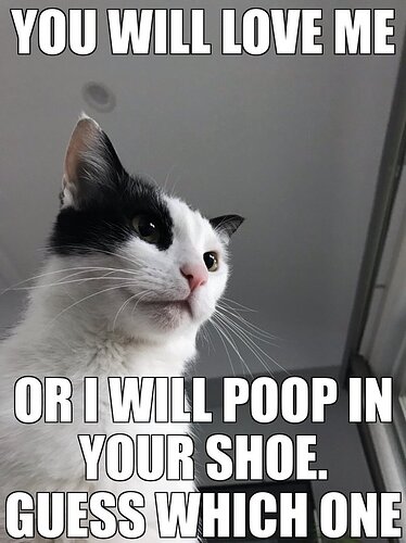 main-qimg-36b0812cb390ec489424d815a16be811-lq