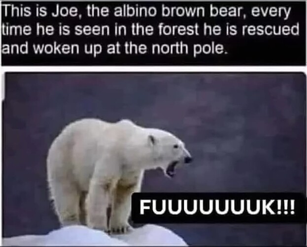 Albino Bear