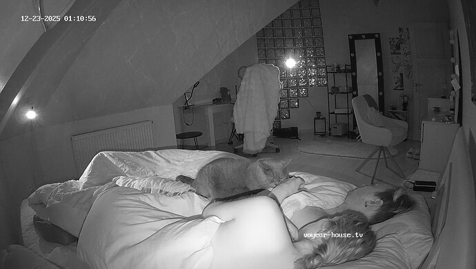 realm8-cam19-1766445089