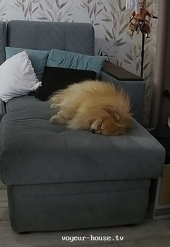 realm18-cam14-1757952271