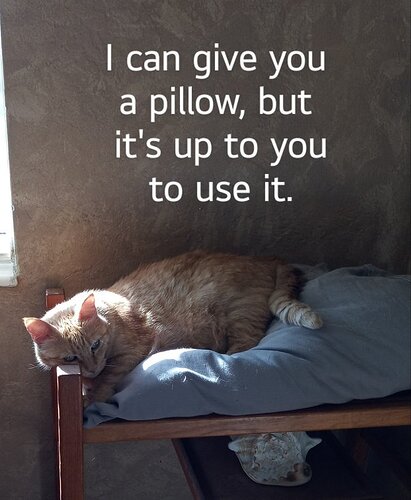 main-qimg-156bb447cde426591f7de497ad9dd89d-lq