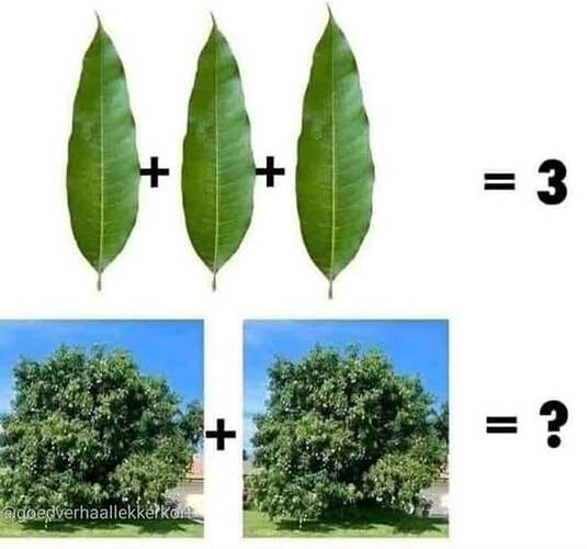 92948059_2886600631460763_8865311294970920960_n