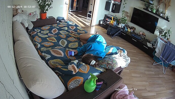 realm37-cam16-1723478019