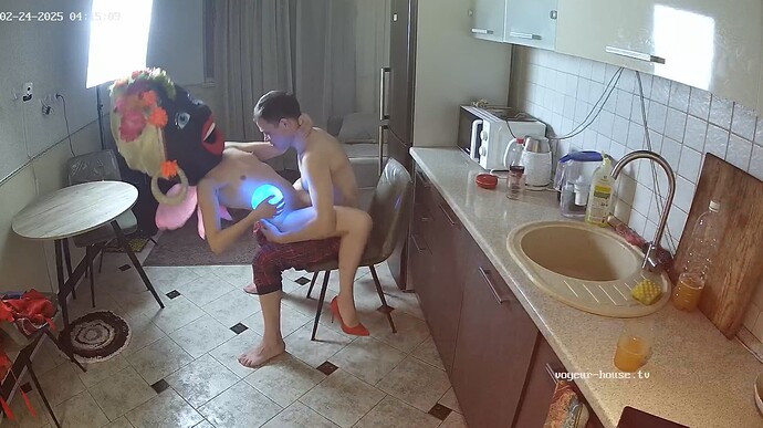 Ashampoo_Snap_lundi 24 février 2025_2h15m52s_006_Kitchen camera at Bastet reallifecam apartment at Voyeur House TV (cam13) - Google Chrome