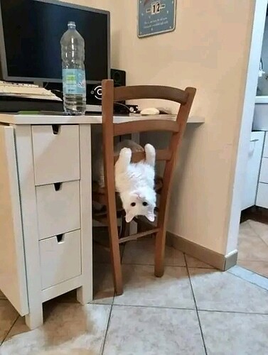 main-qimg-0ad731ac54c2b51fa486aa015fda8136