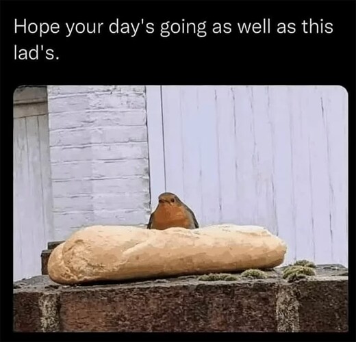 This Lad