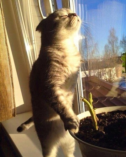 main-qimg-be5e7a9f978d6a3cbb07366abec5e58c