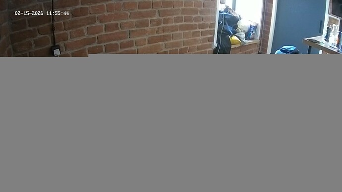 realm115-cam13-1771146086