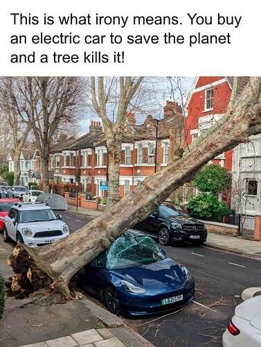 FB_IMG_1692137341915