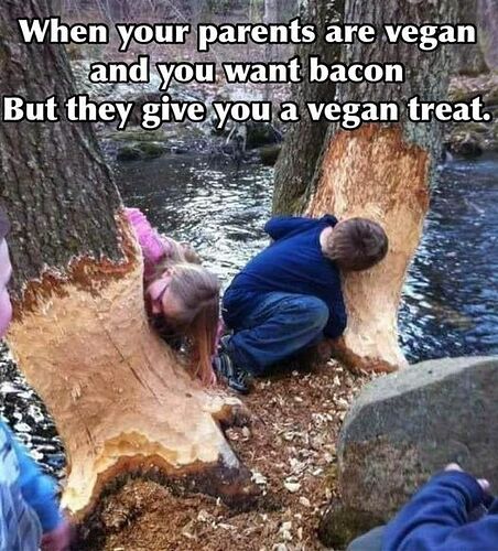 431230493_948521796839634_4380216335720199517_n